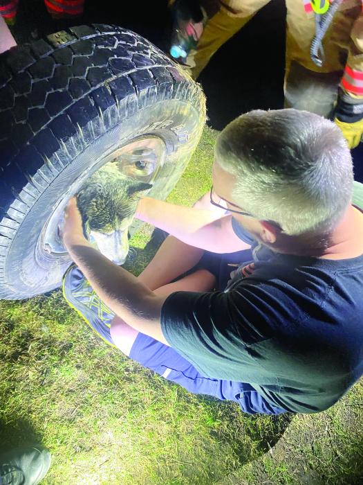 When people see and hear the fire sirens, they automatically think firefighters are on their way to fight a fire. However, on Monday, March 11, the North Sioux City Fire Department responded to a distress call for a young Husky named Bandit, who got his head stuck in a tire. The owners called after trying for 1.5 hours to get Bandit out themselves. The NSCFD was on the scene for 30 minutes before (pictured) Tim Bell and other firefighters were able to get Bandit free. Tim Bell said, “Bandit was a good boy.”