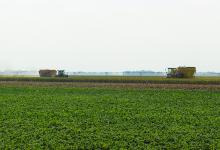 Harvest has begun for some area farmers and agricultural businesses. Drive safely and share the road so everyone gets to their destinations safely. Photo by Beth Sherard-Hutcheson • times1reporter@gmail.com