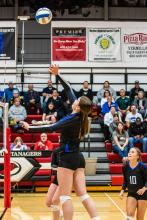 Ashley Brewer pushes the ball over the net. Photo by Peterman Sports Photography stevepeterman5@gmail.com