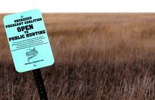 An Aberdeen Pheasant Coalition sign indicates a field that is open to public hunting southwest of Aberdeen. Photo: Scott Waltman for News Watch