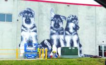 In a way to beautify its building, Royal Canin added mural paintings of various cats and dogs. They can be seen best along Freedom Drive in North Sioux City on the south side of the building. Submitted photo