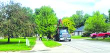 Photos were taken on the 500 block of Oxbow Trl in the northern part of the Meadows neighborhood of Dakota Dunes. Photo by Kelly Riibe • times2reporter@gmail.com