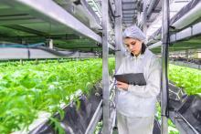 Urban Farms, Ltd. plans to build a vertical farm in North Sioux City. They plan to break ground this summer and harvest their first crops by winter 2025. Submitted photo