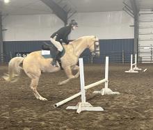 Ashley Phillips (Union) in the Senior Hunter Equitation Over Fences.