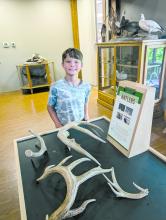 Oliver Scott, of River-R-Land, checked out the antler display in the visitor center on July 25. Scott attended nature camp from July 23-25 at Adams Homestead and Nature Preserve with other 8, 9 and 10-year olds. Photo by Kelly Riibe • times2reporter@gmail.com