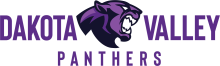 Alt Text for Image