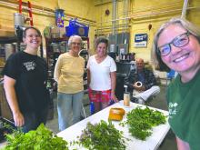 Nicki Werner and other participants work with native herbs and pollinator-friendly plants at Jefferson Beer Supply while helping develop “Wild Things Welcome,” a new craft beer inspired by local flora and fauna. Submitted photo