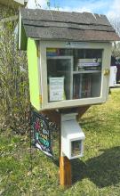 Little Free Libraries