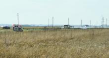 Grass Fire