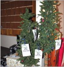 The Husky Angel Tree is located inside the front doors of Immanuel Lutheran Church. It is asked that any presents be returned by Dec. 7, wrapped with the gift tag on the outside of the present. Photo by Beth Sherard-Hutcheson • times1reporter@gmail.com