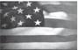 Alt Text for Image