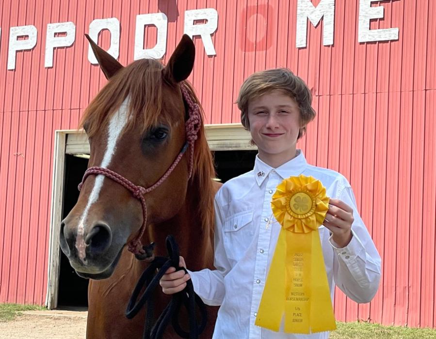 State Horse