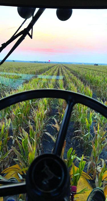 This is a view many area farmers will experience this harvest as they reap the seeds they sown this spring. Submitted photo