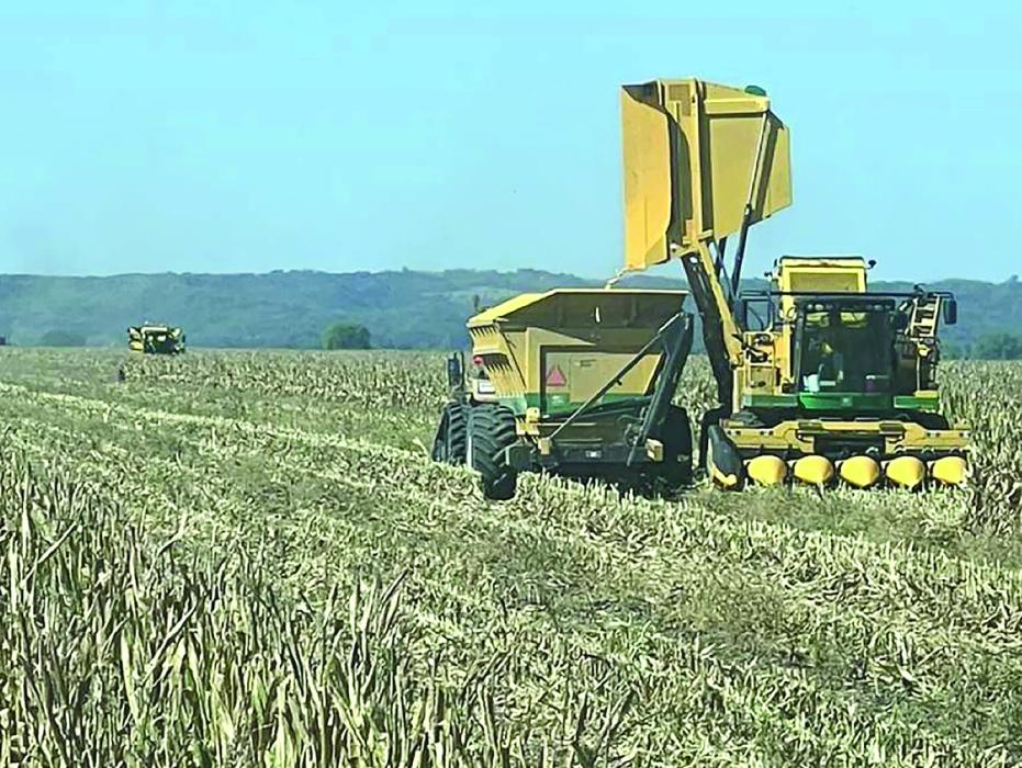 Increased presence of tractors and semis will be seen on back county roads as they take their harvested crops from field to farm, field to elevator or farm to elevator. Submitted photo