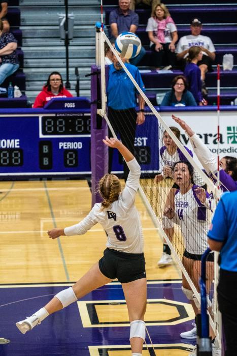 Logan Miller tips the ball over the net against Beresford Sept. 6. Photo by Peterman Sports Photography • photoman@iw.net
