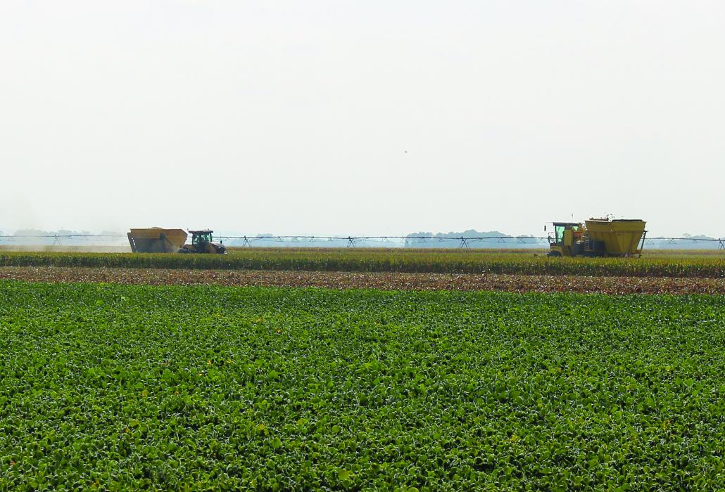 Harvest has begun for some area farmers and agricultural businesses. Drive safely and share the road so everyone gets to their destinations safely. Photo by Beth Sherard-Hutcheson • times1reporter@gmail.com