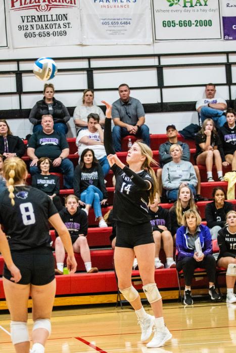 Addi Kleis ended games against Tea Area with kills to help secure a Panther victory. Photo by Peterman Sports Photography stevepeterman5@ gmail.com