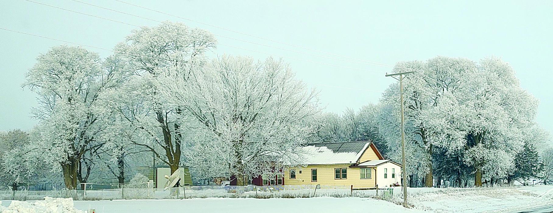 Residents of Union County awoke to a beautiful scene Jan. 10 as Mother Nature and Jack Frost teamed up to paint the countryside in a heavy frost. The frost blanketed the area and was accompained with some fog. As the sun poked through the clouds, the frost slowly melted creating a beautiful light snowfall. Photo by Shannon Jost • timesleader1@gmail.com