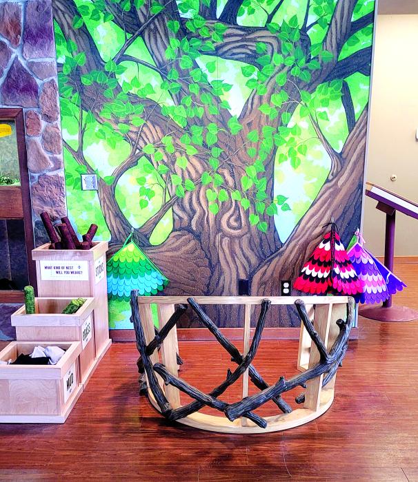 A hands-on bird nest building exhibit inside the visitor center of the Adams Homestead and Nature Preserve. Photos by Kelly Riibe times2reporter@gmail.com