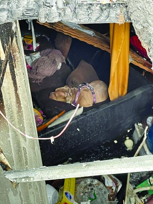 The family dog, thought to have been lost in the fire, was found alive Wednesday morning, April 19 and reunited with the family. Submitted photo