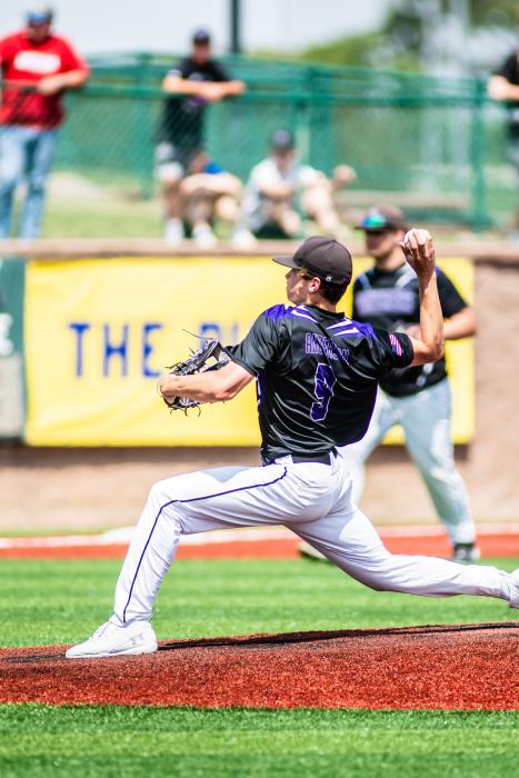 At right,  Garrett Anderson pitched for the Panthers during the state tournament.