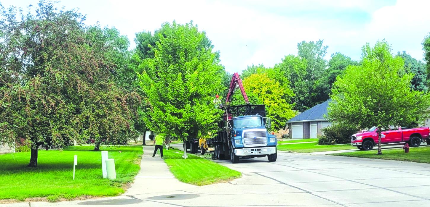 Photos were taken on the 500 block of Oxbow Trl in the northern part of the Meadows neighborhood of Dakota Dunes. Photo by Kelly Riibe • times2reporter@gmail.com