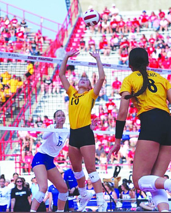 (Left) Ally Beresford, Dakota Valley alum, plays for Wayne State College as a reserve setter and serving specialist. She played Aug. 30 at Memorial Stadium in Lincoln, NE. Submitted photo
