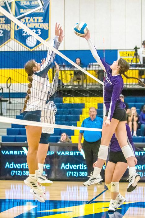 Emersen Mead shows a soft touch as she puts the ball over the net. She had 5 kills Oct. 23 against Tea Area.