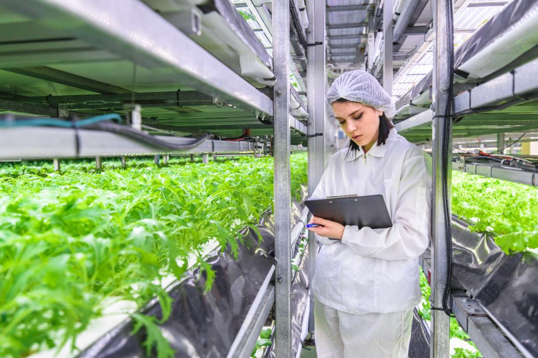 Urban Farms, Ltd. plans to build a vertical farm in North Sioux City. They plan to break ground this summer and harvest their first crops by winter 2025. Submitted photo
