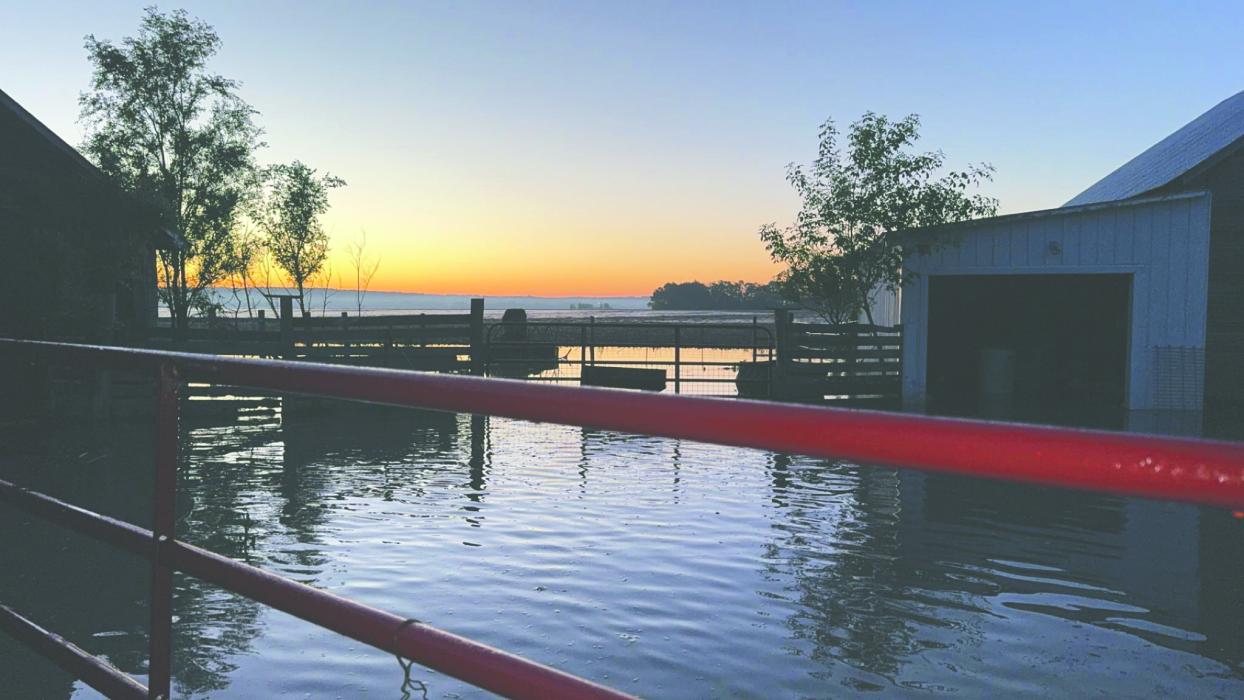 This farm near Elk Point was flooded. This photo was taken around 4 a.m. on June 23, 2024, after the livestock were safely removed. Submitted photo by Lauren Geary