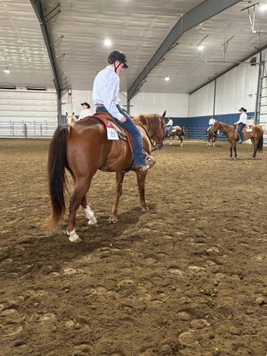 Lillian Johnson of Union County in the Junior Western Horsemanship. Submitted Photos
