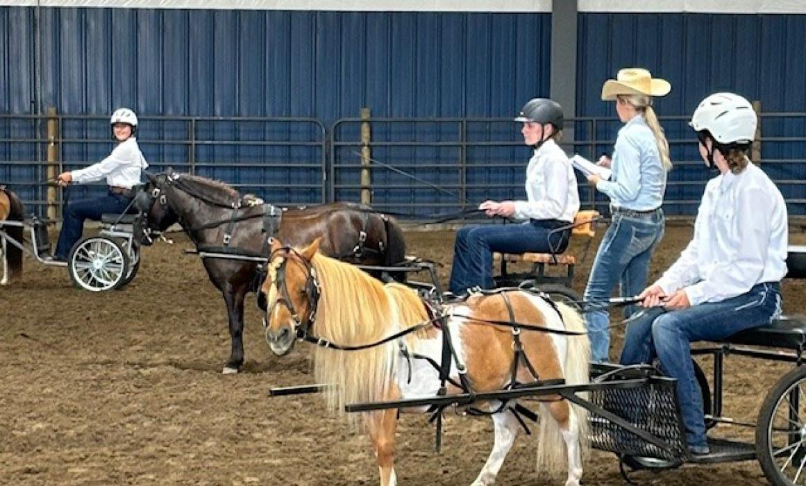 The Reining division is where 4-Hers must steer their horse and buggy through a pattern of maneuvers. Pictured here are left to right – Molli Harkin (Union), Paisley Ensinger (Clay) and Judge Sherri Kennedy and Baylee Warner (Union).