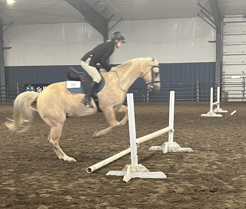 Ashley Phillips (Union) in the Senior Hunter Equitation Over Fences.