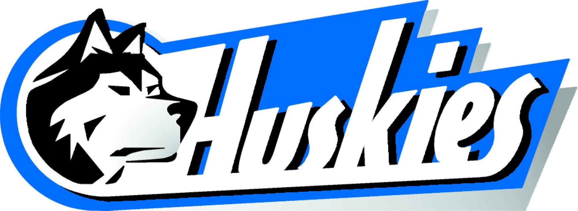 Alt Text for Image