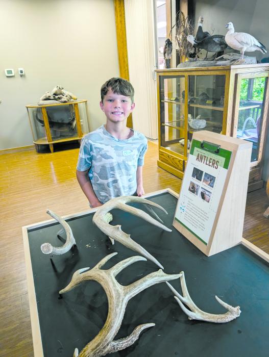Oliver Scott, of River-R-Land, checked out the antler display in the visitor center on July 25. Scott attended nature camp from July 23-25 at Adams Homestead and Nature Preserve with other 8, 9 and 10-year olds. Photo by Kelly Riibe • times2reporter@gmail.com