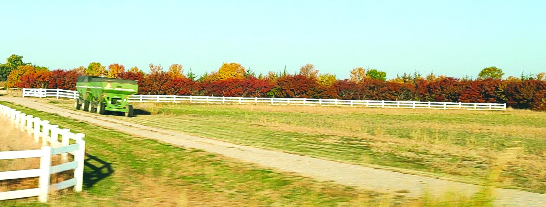 Fall’s beautiful colors can be seen in full display at this Elk Point acreage. Photo by Shannon Jost • timesleader1@gmail.com