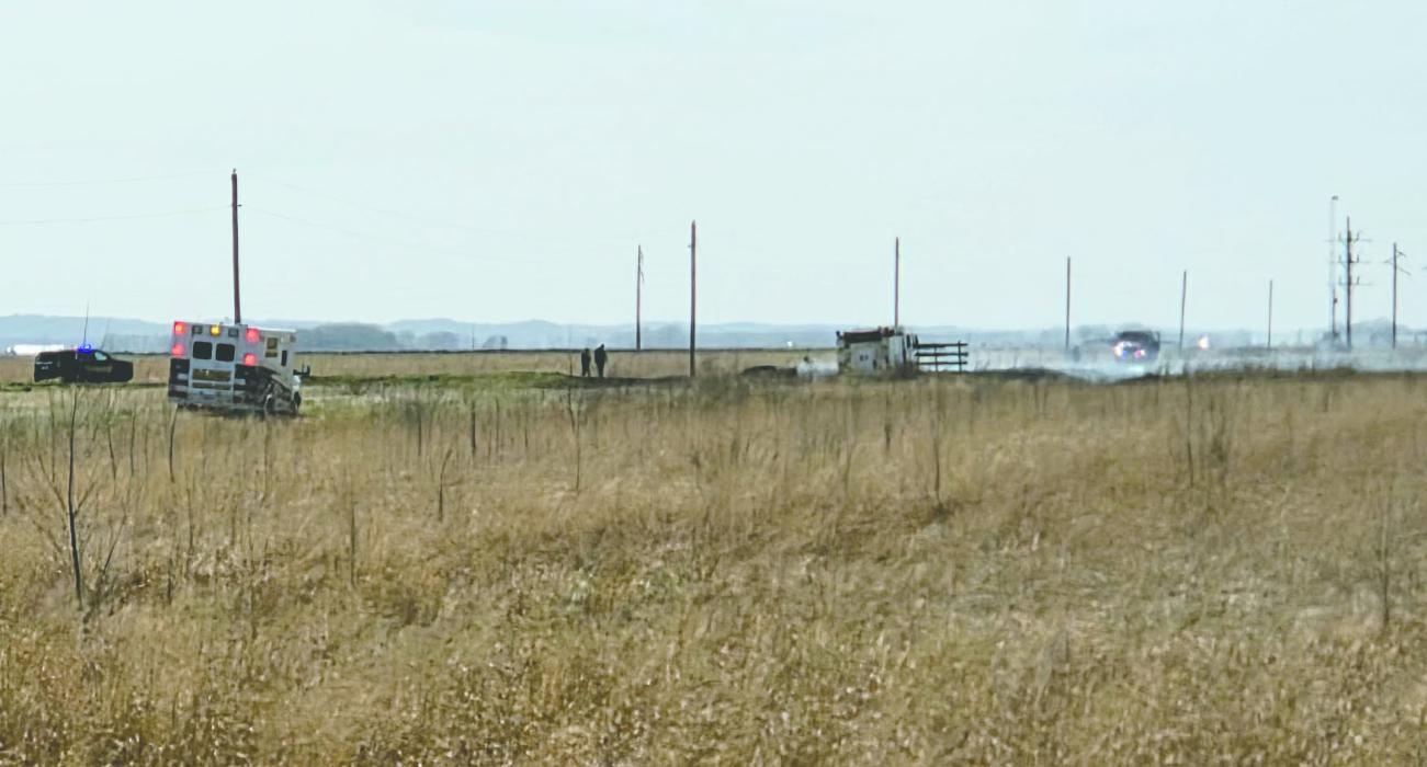 Grass Fire