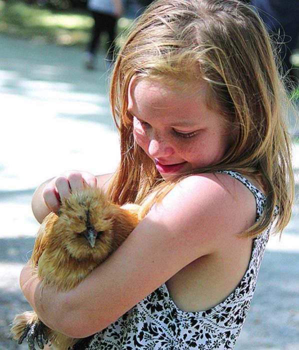 Mia Smith was able to hold and pet a chicken. File photos
