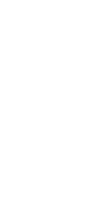 Alt Text for Image
