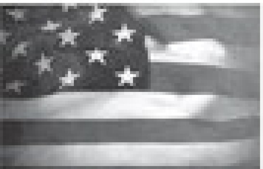 Alt Text for Image
