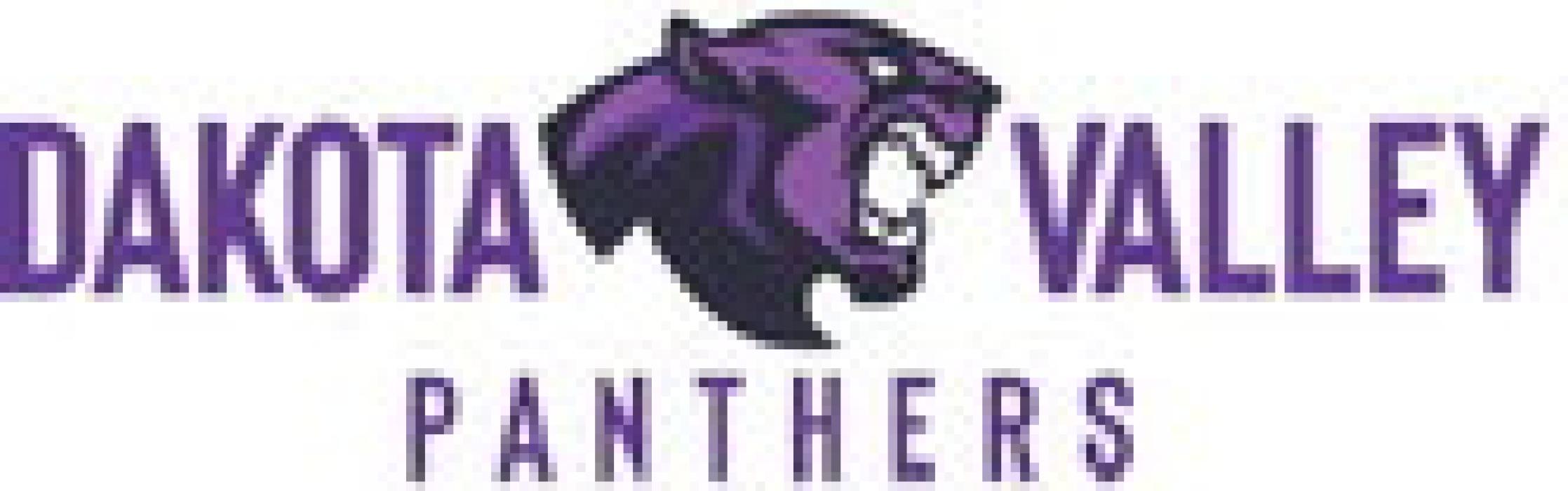 Alt Text for Image