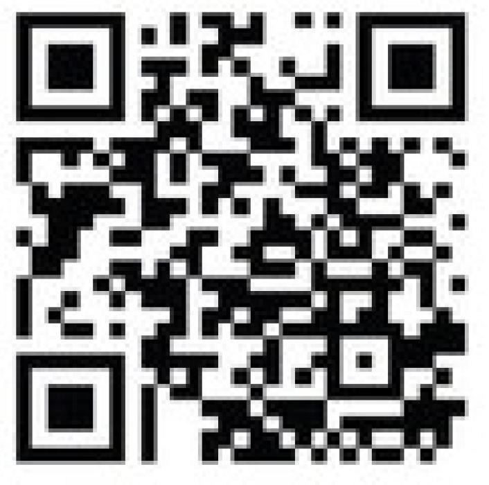 Alt Text for Image